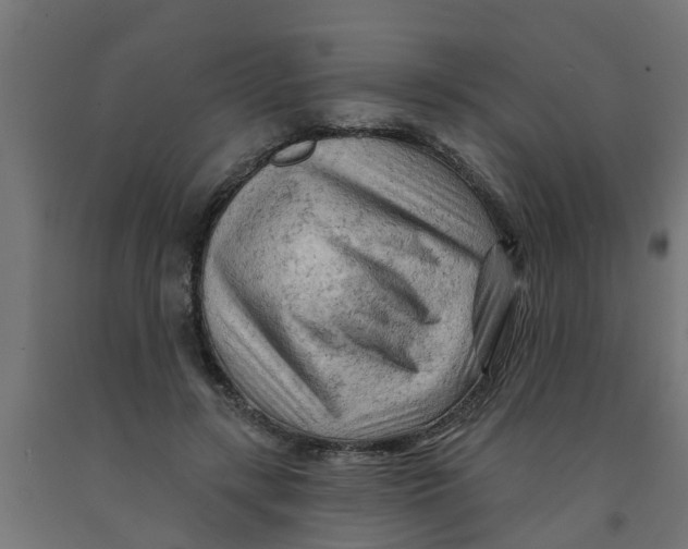 X0000090890547200708242004