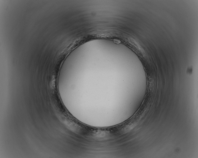 X0000090890549200708242004