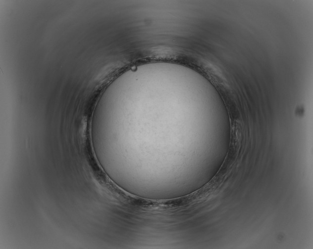 X0000090890550200708242004