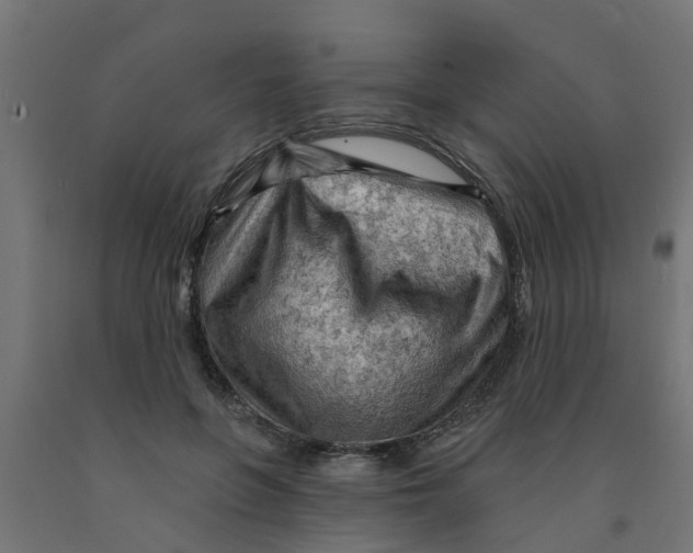 X0000090890551200708242004