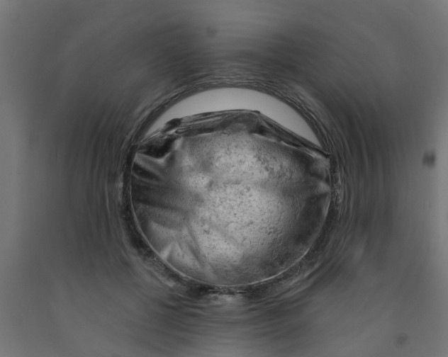 X0000090890552200708242004