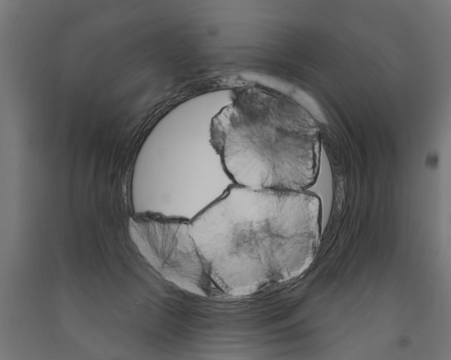 X0000090890553200708242004