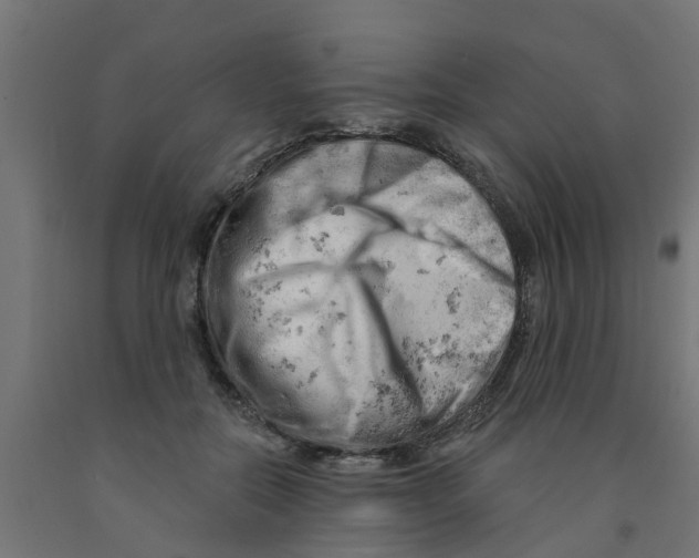 X0000090890554200708242004