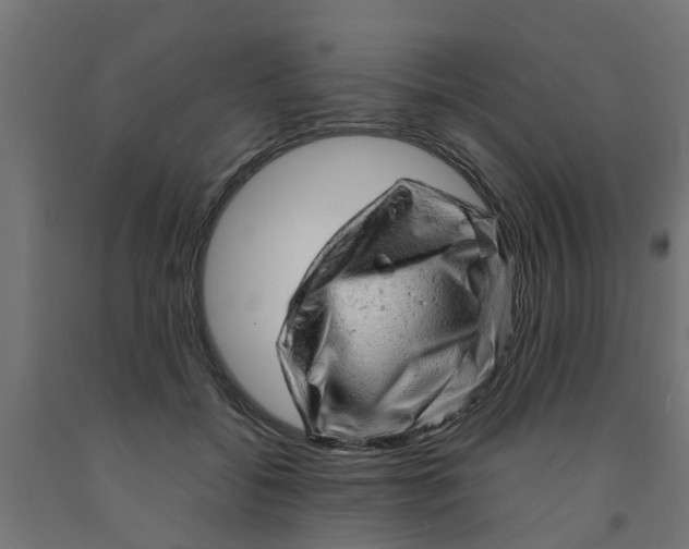 X0000090890556200708242004