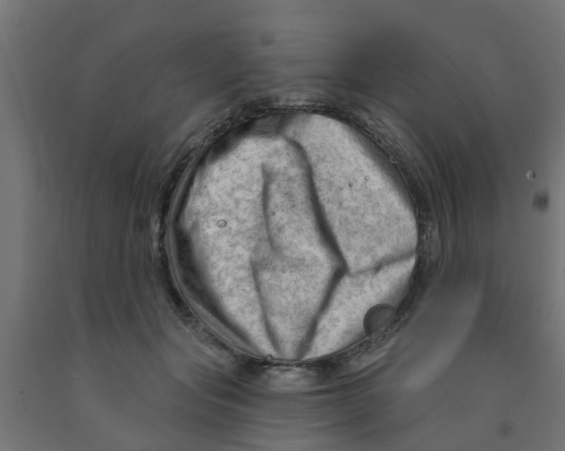 X0000090890557200708242004