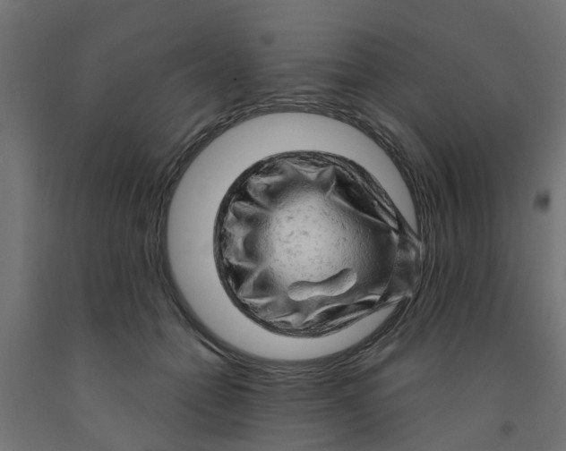 X0000090890558200708242004