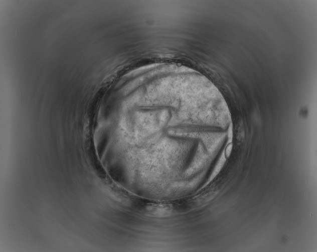 X0000090890559200708242004