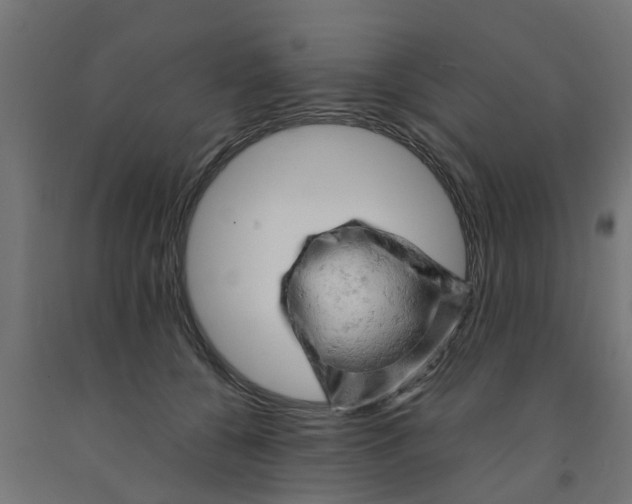 X0000090890560200708242004