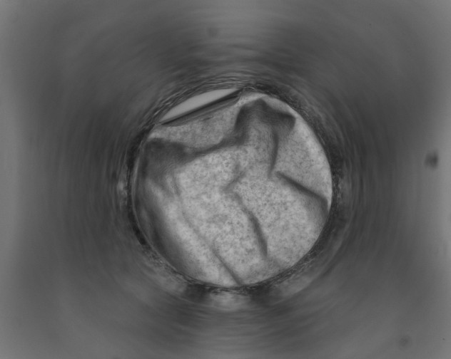 X0000090890561200708242004