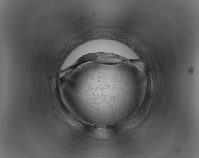 X0000090890562200708242004