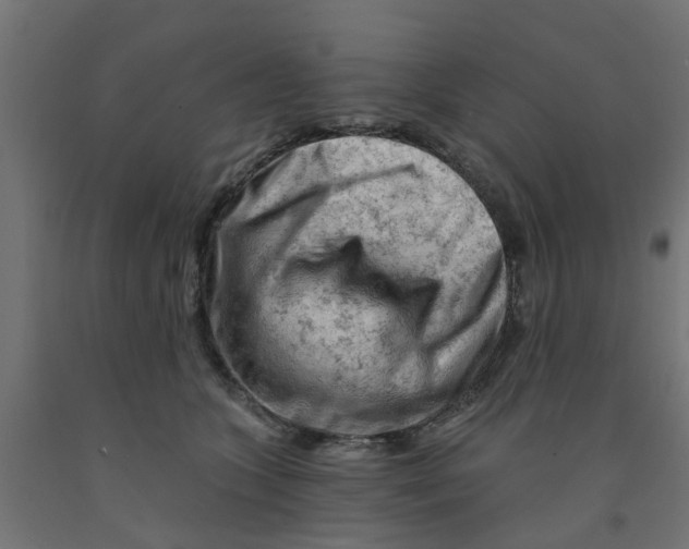 X0000090890563200708242004