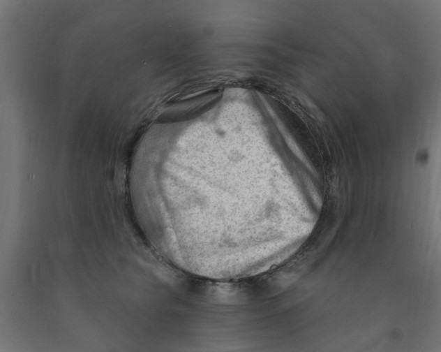 X0000090890565200708242004