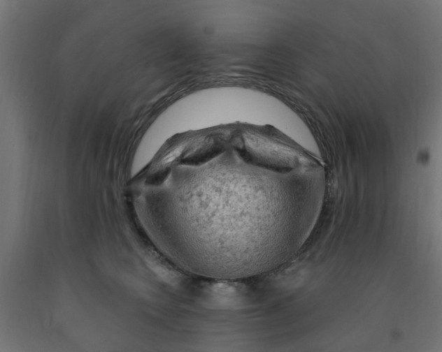 X0000090890566200708242004