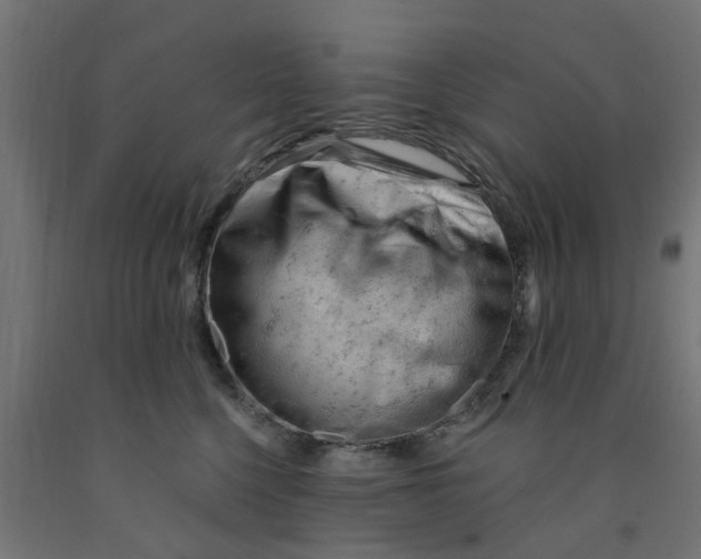 X0000090890568200708242004