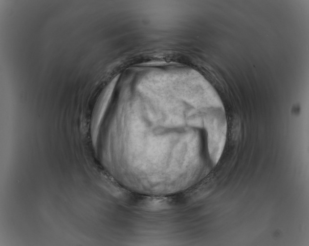 X0000090890569200708242004