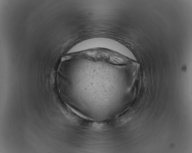 X0000090890570200708242004