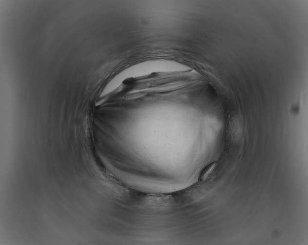 X0000090890571200708242004