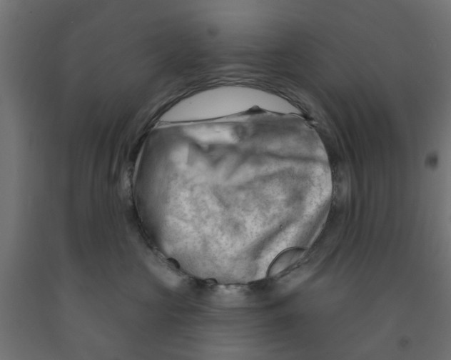 X0000090890573200708242004