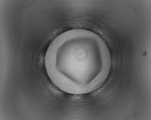 X0000090890574200708242004