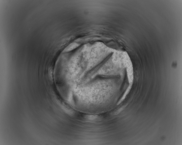 X0000090890575200708242004