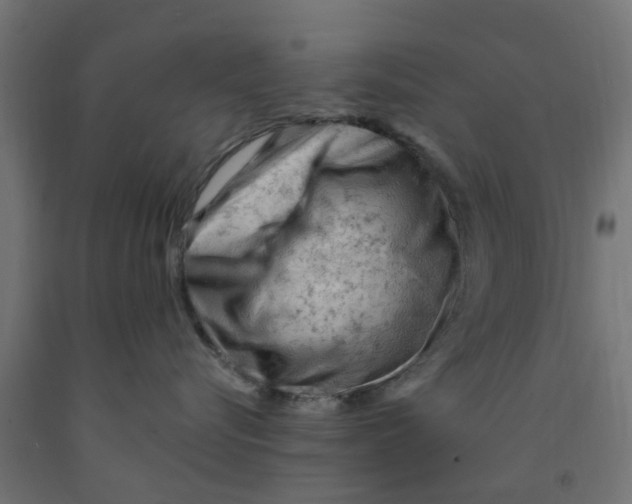 X0000090890576200708242004