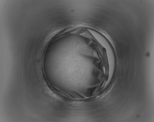 X0000090890577200708242004