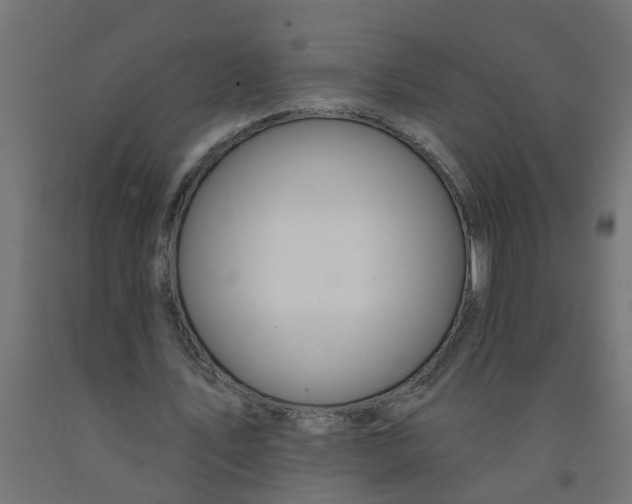 X0000090890579200708242004