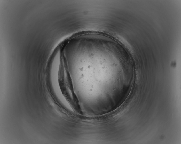 X0000090890580200708242004