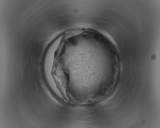 X0000090890581200708242004