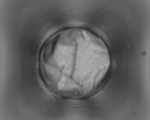 X0000090890582200708242004