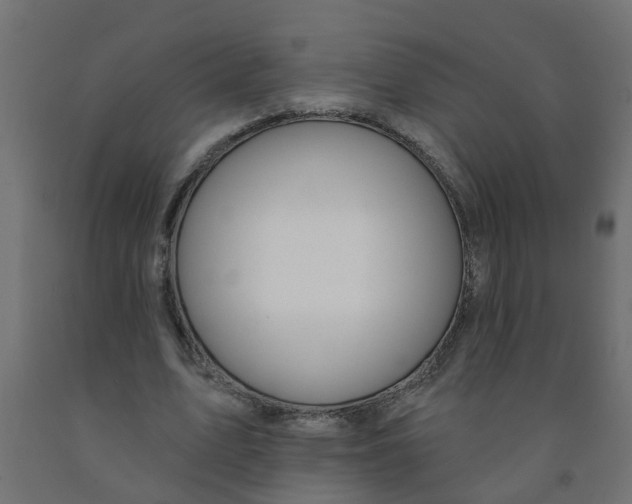 X0000090890583200708242004