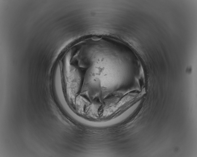 X0000090890584200708242004