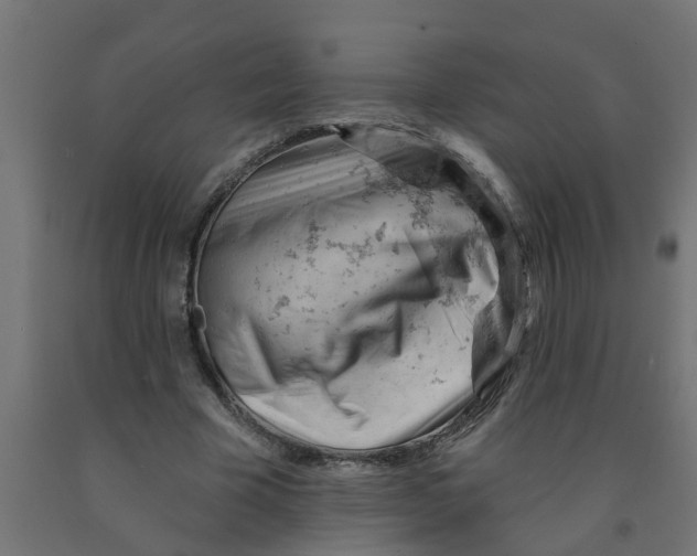 X0000090890585200708242004