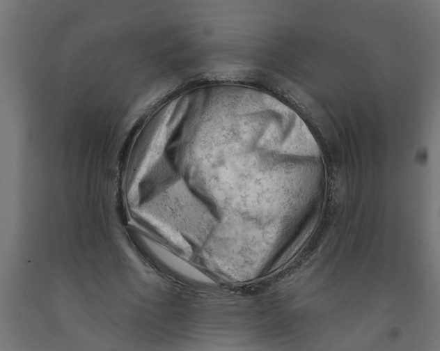 X0000090890586200708242004