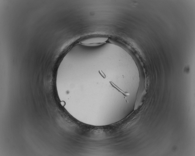 X0000090890588200708242003