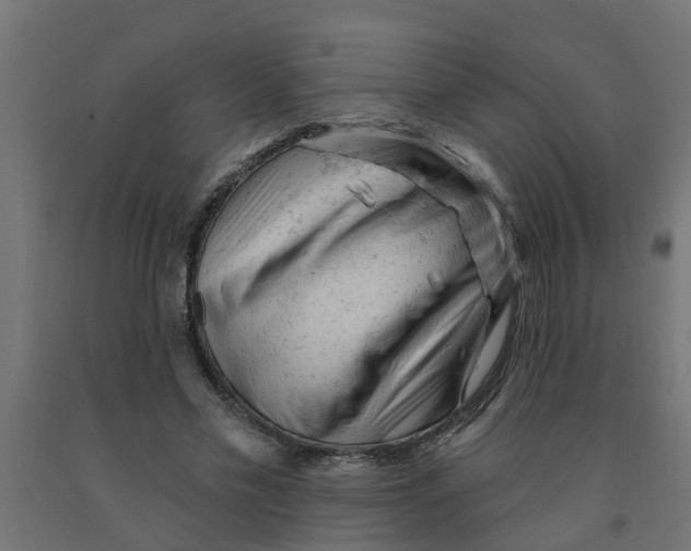 X0000090890589200708242003