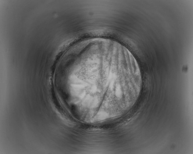 X0000090890590200708242003