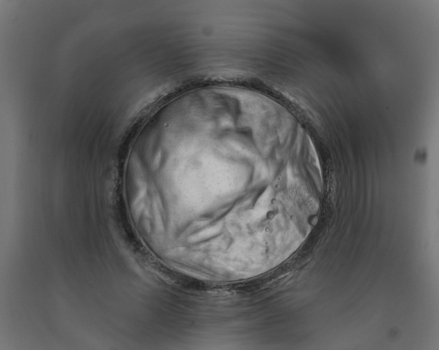 X0000090890591200708242003