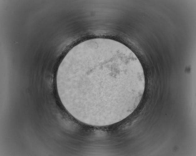 X0000090890592200708242003