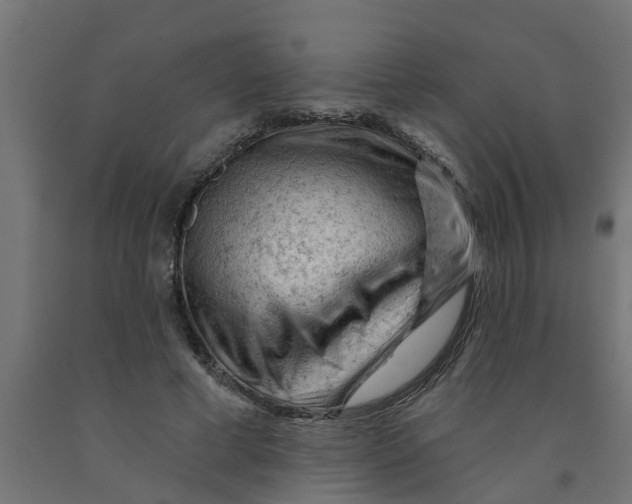 X0000090890593200708242003