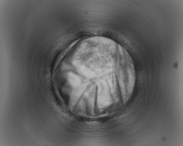 X0000090890594200708242003