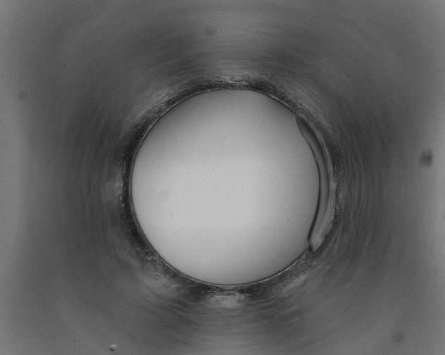 X0000090890595200708242003