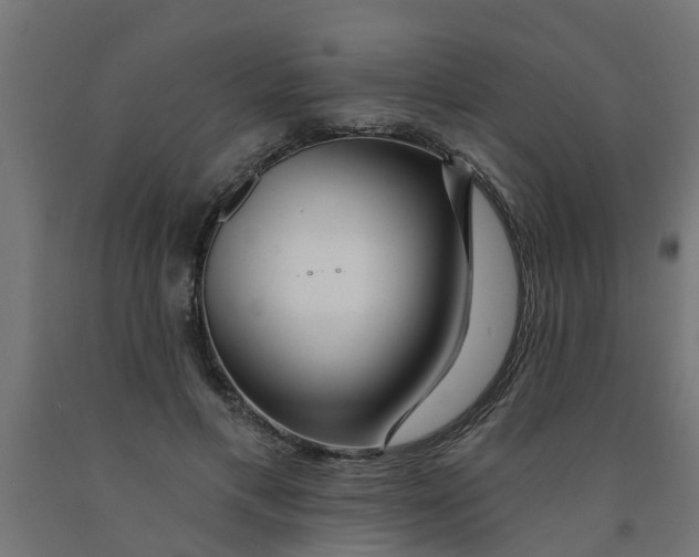 X0000090890597200708242003