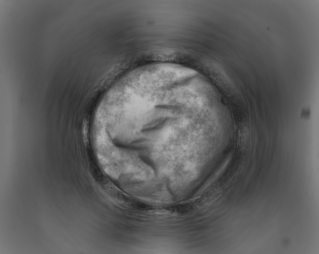 X0000090890598200708242003