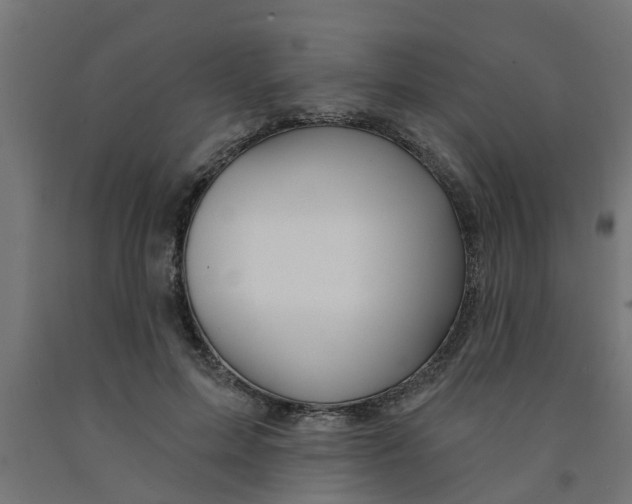 X0000090890599200708242003