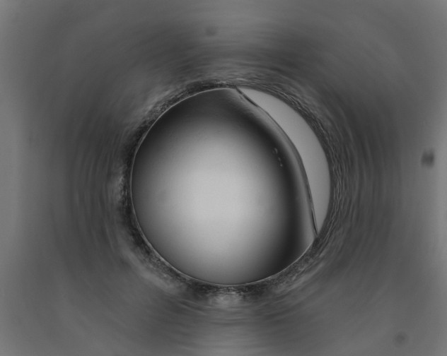 X0000090890600200708242003