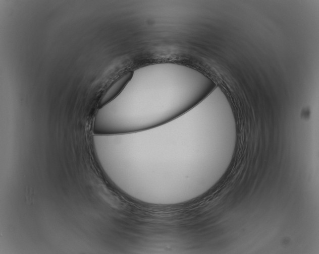 X0000090890601200708242003