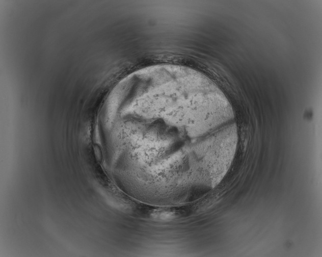 X0000090890602200708242003