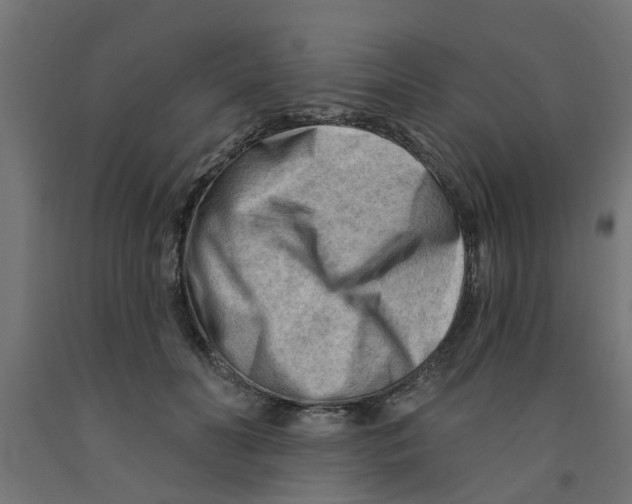 X0000090890606200708242003