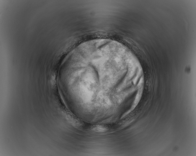 X0000090890610200708242003